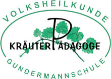 logo_v